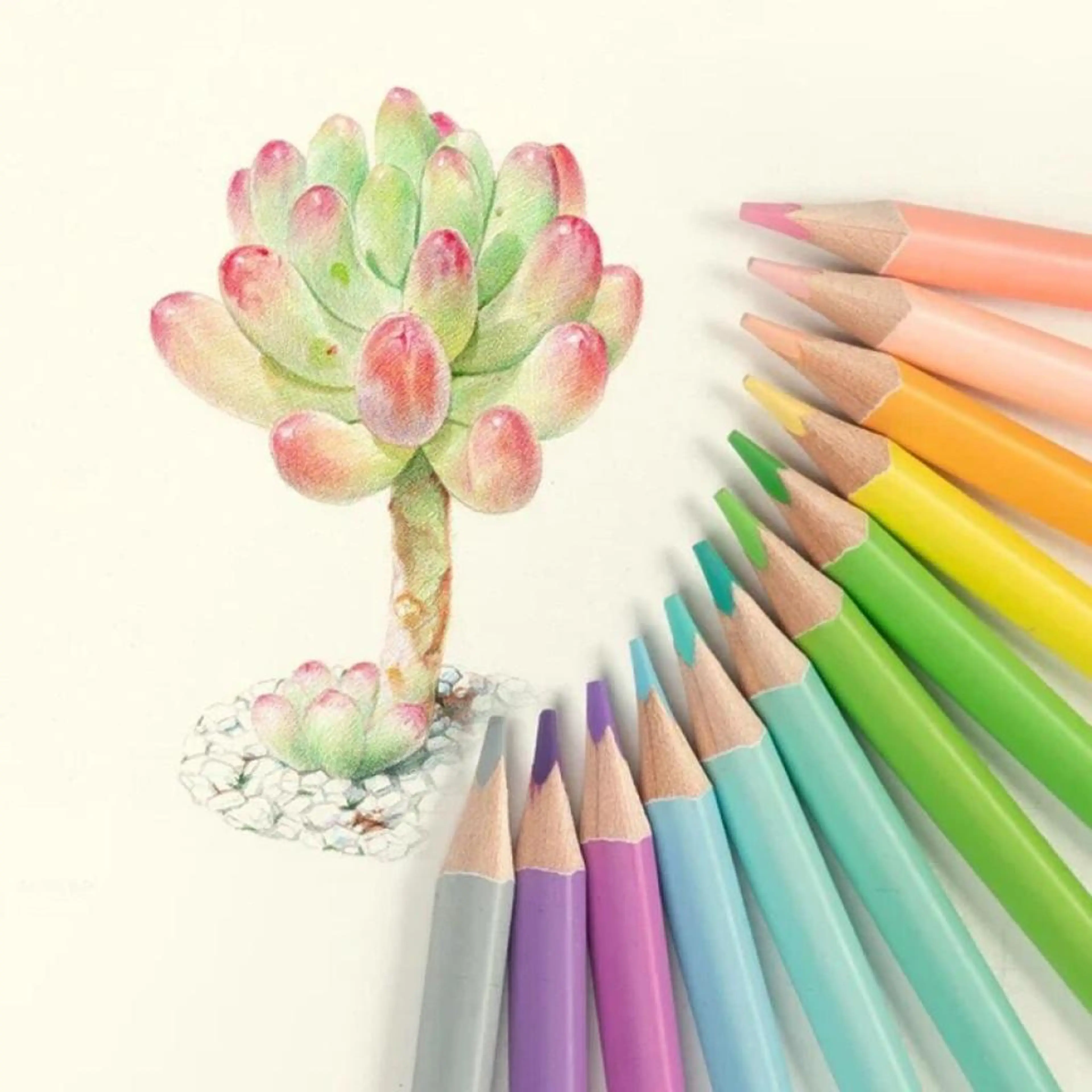 Моливи Цветни Пастелни 12цв с Острилка